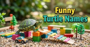 Funny Turtle Names